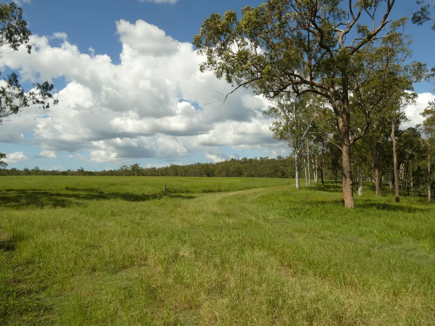 Additional image 15 of 510 Promisedland Road, Promisedland QLD 4660