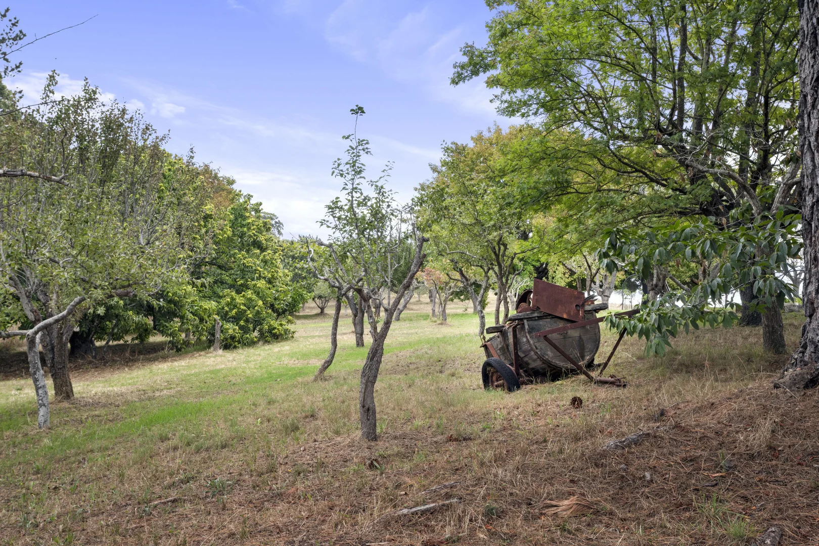 Additional image 15 of 261 Range Road, Basket Range SA 5138