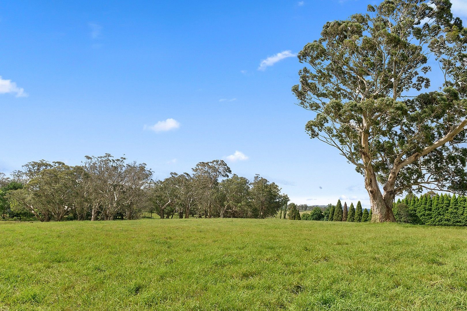 549 Ellsmore Road, Exeter NSW 2579, Image 0