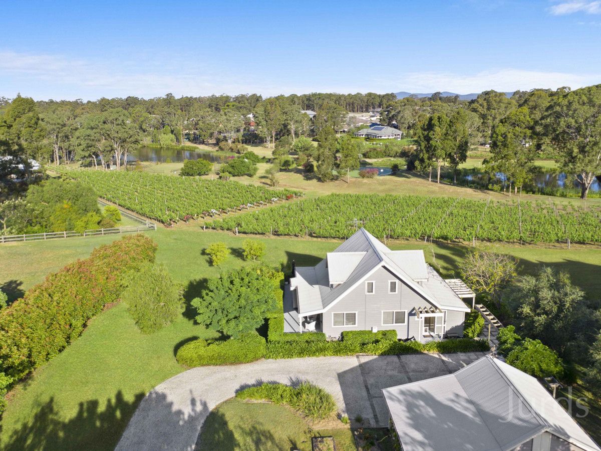 Lot 22 Kelman Vineyard, 2 Oakey Creek Road, Pokolbin NSW 2320, Image 0