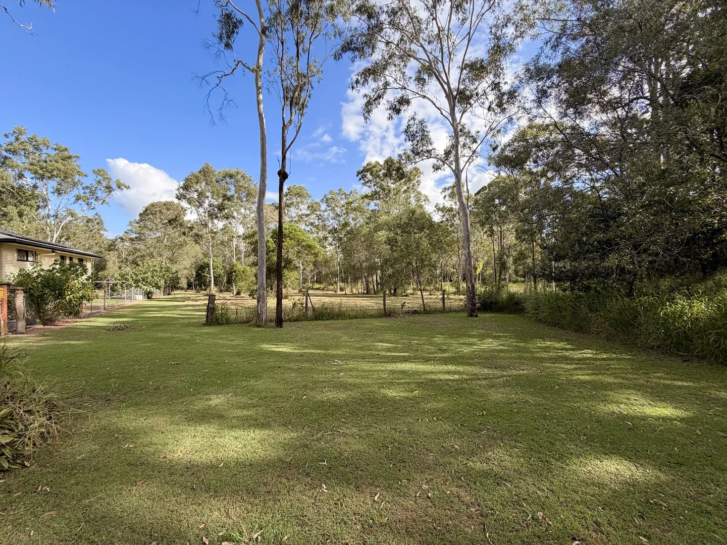Image 15