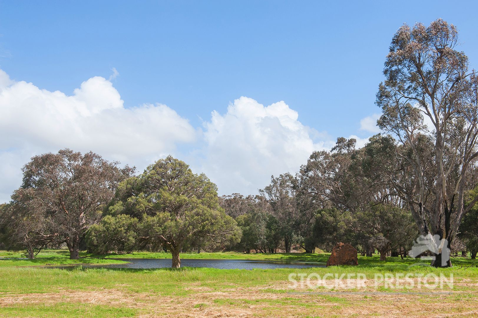 109 Alfred Road, Carbunup River WA 6280, Image 1