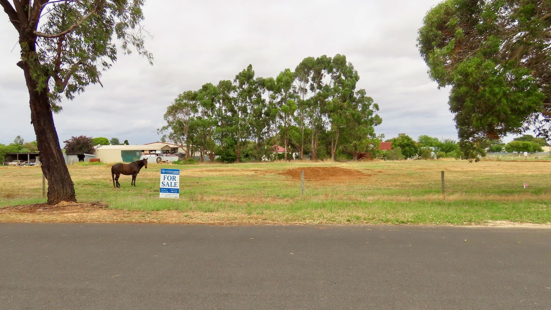 Lot 177 Portland Street, Penola SA 5277, Image 1