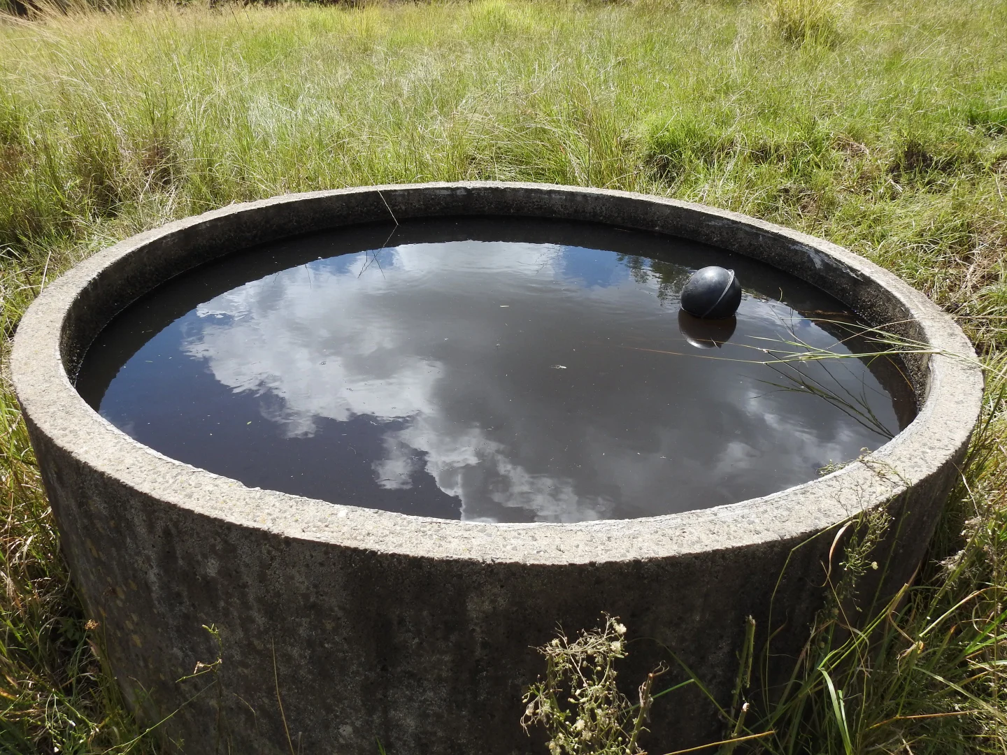 Additional image 6 of Lot 119 Ellangowan Myrtle Creek Road, Ellangowan NSW 2470