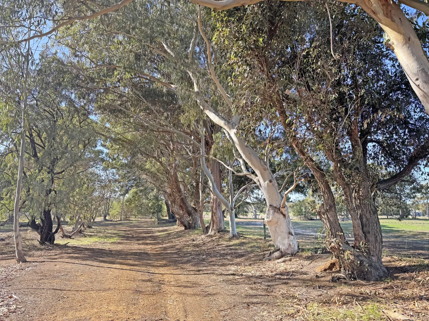 Image 36