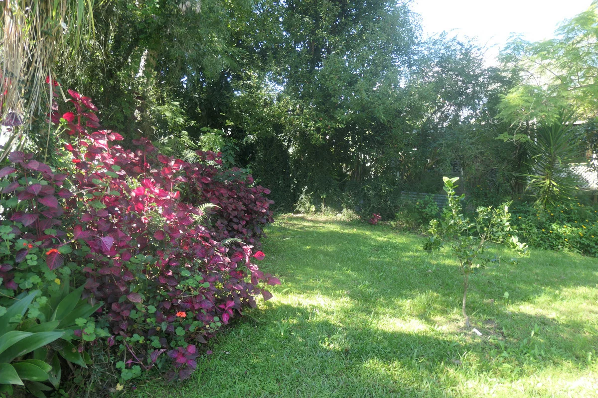 Image 19