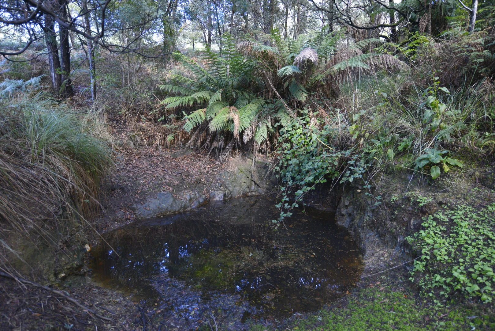 Additional image 9 of 166 Kerrisons Road, Holwell TAS 7275