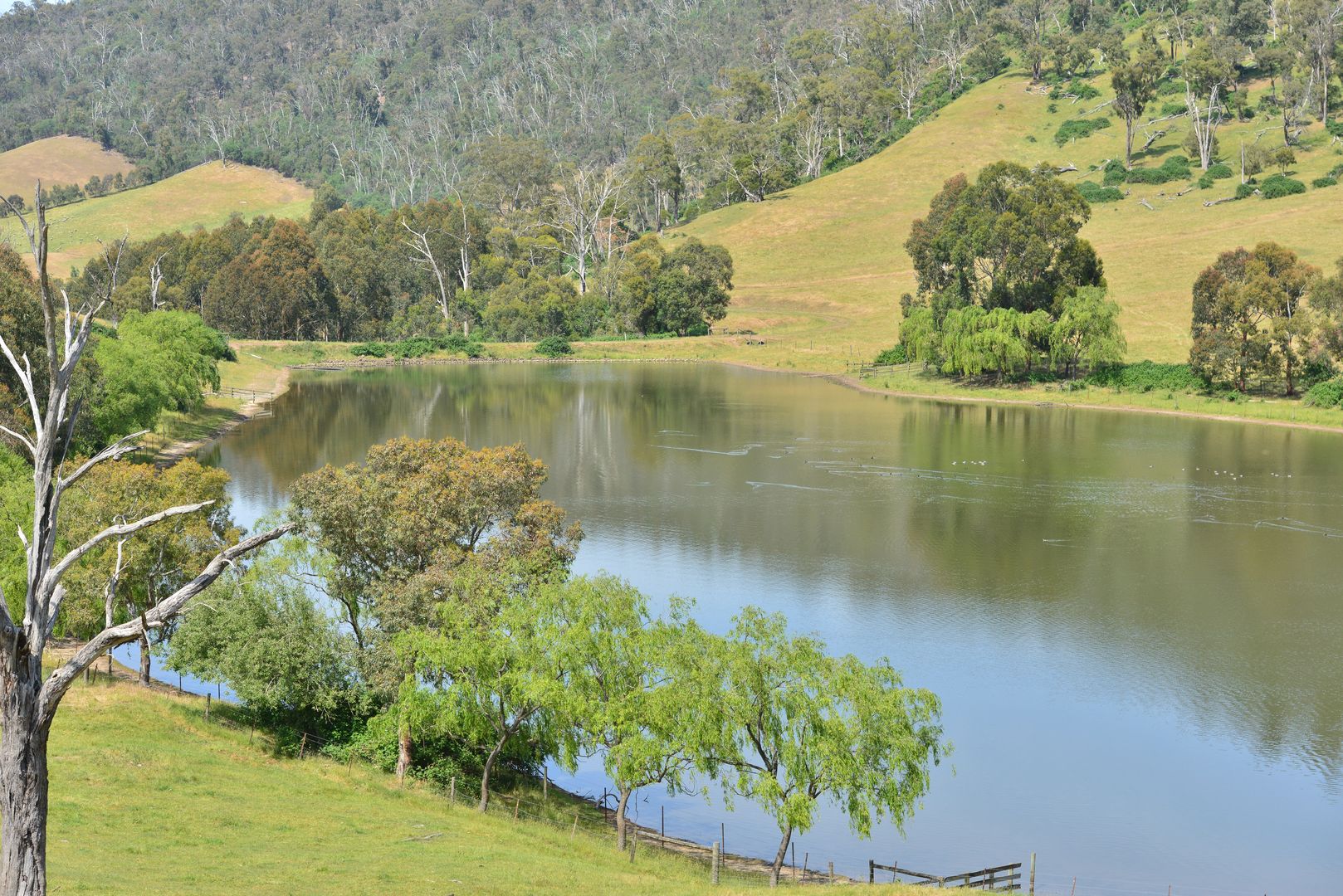 Flowerdale VIC 3717 House for Sale Domain