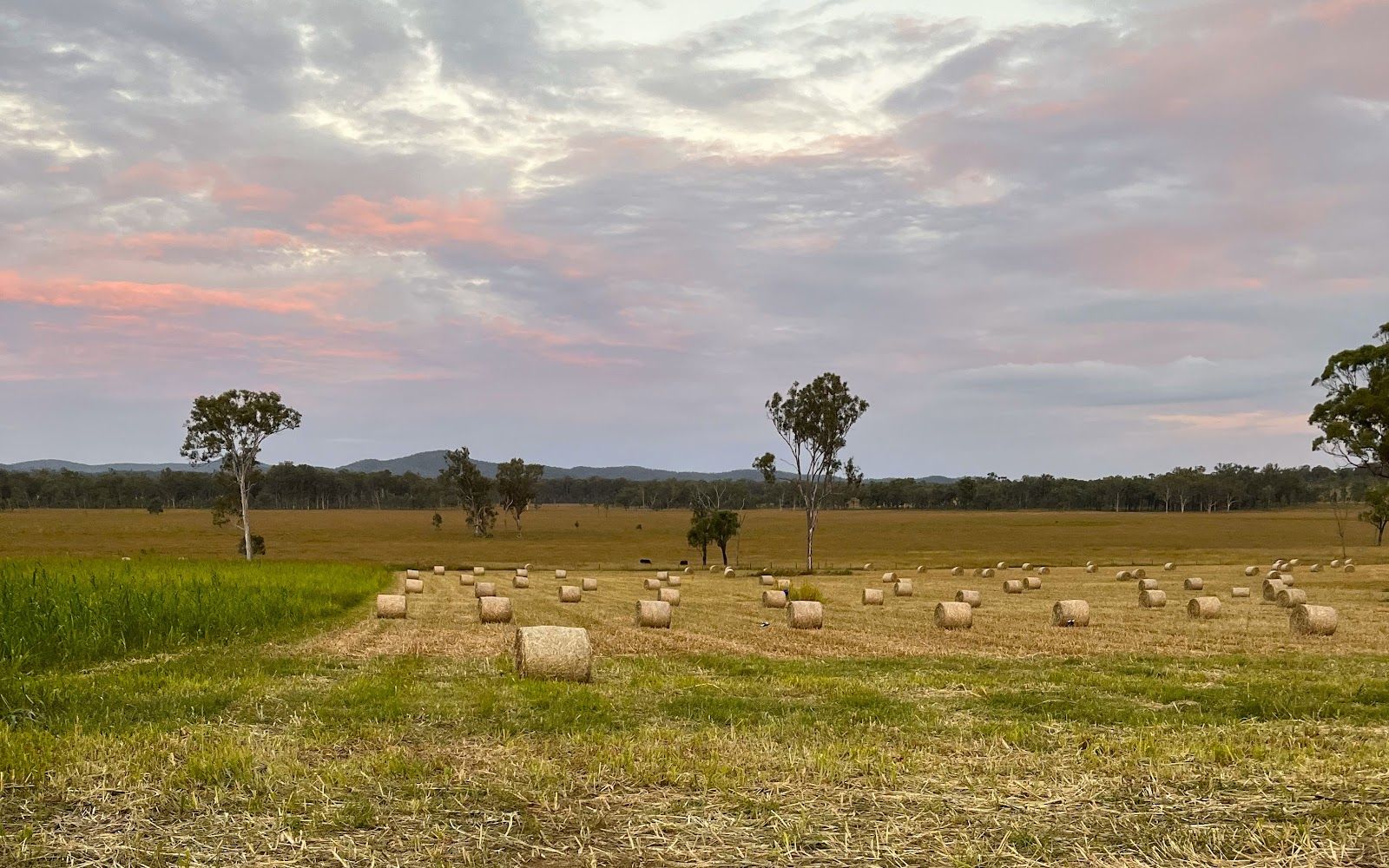 379 Old Coach Road, Biggenden QLD 4621, Image 1