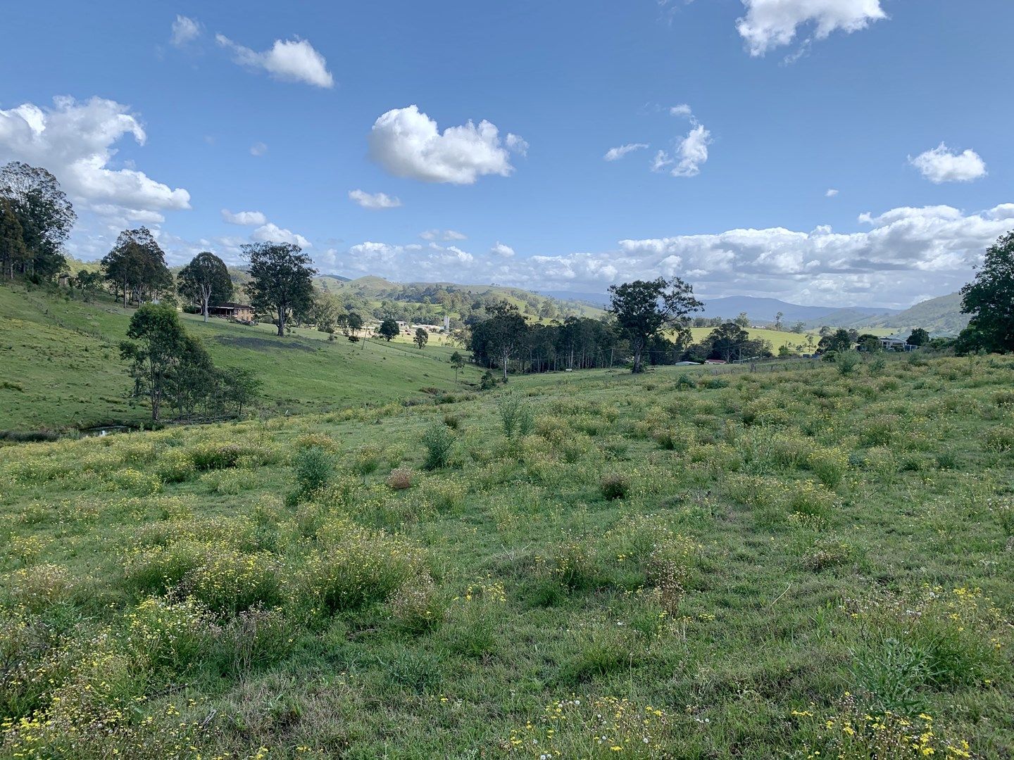 Lot 188 Mackay Street, Dungog NSW 2420, Image 0