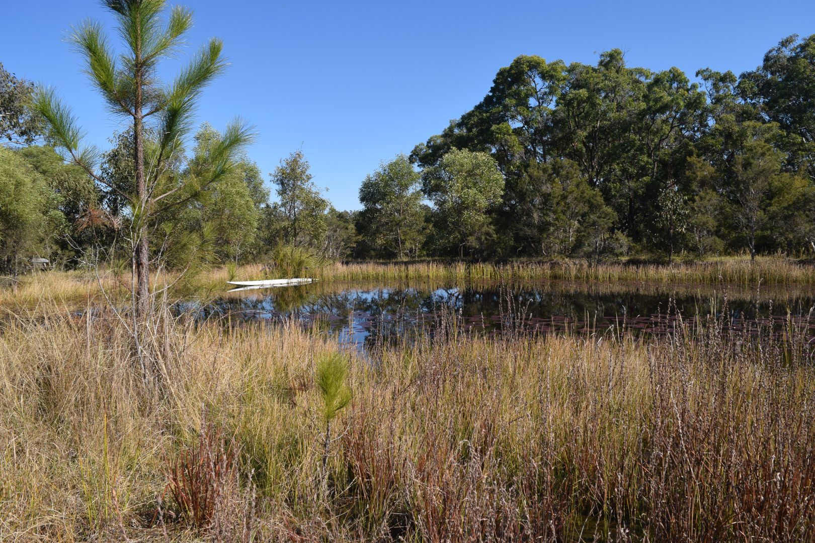 54 Florda Red Drive, Wells Crossing NSW 2460, Image 1