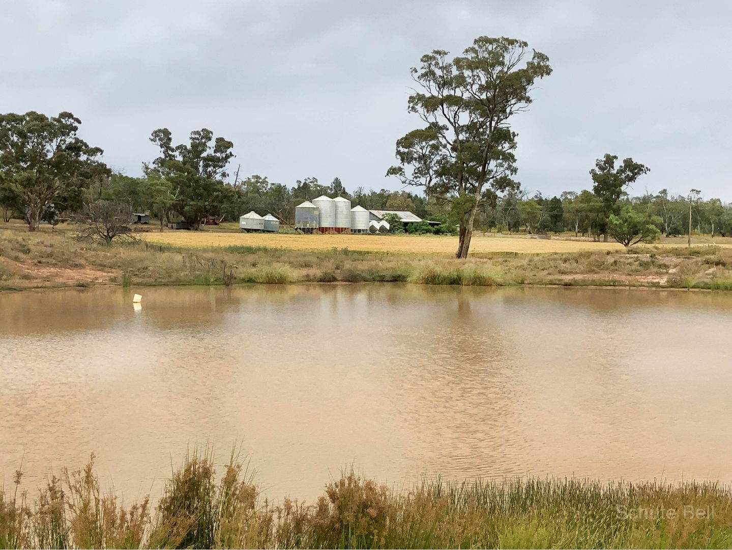 Weemala The McGrane Way, Tullamore NSW 2874, Image 1