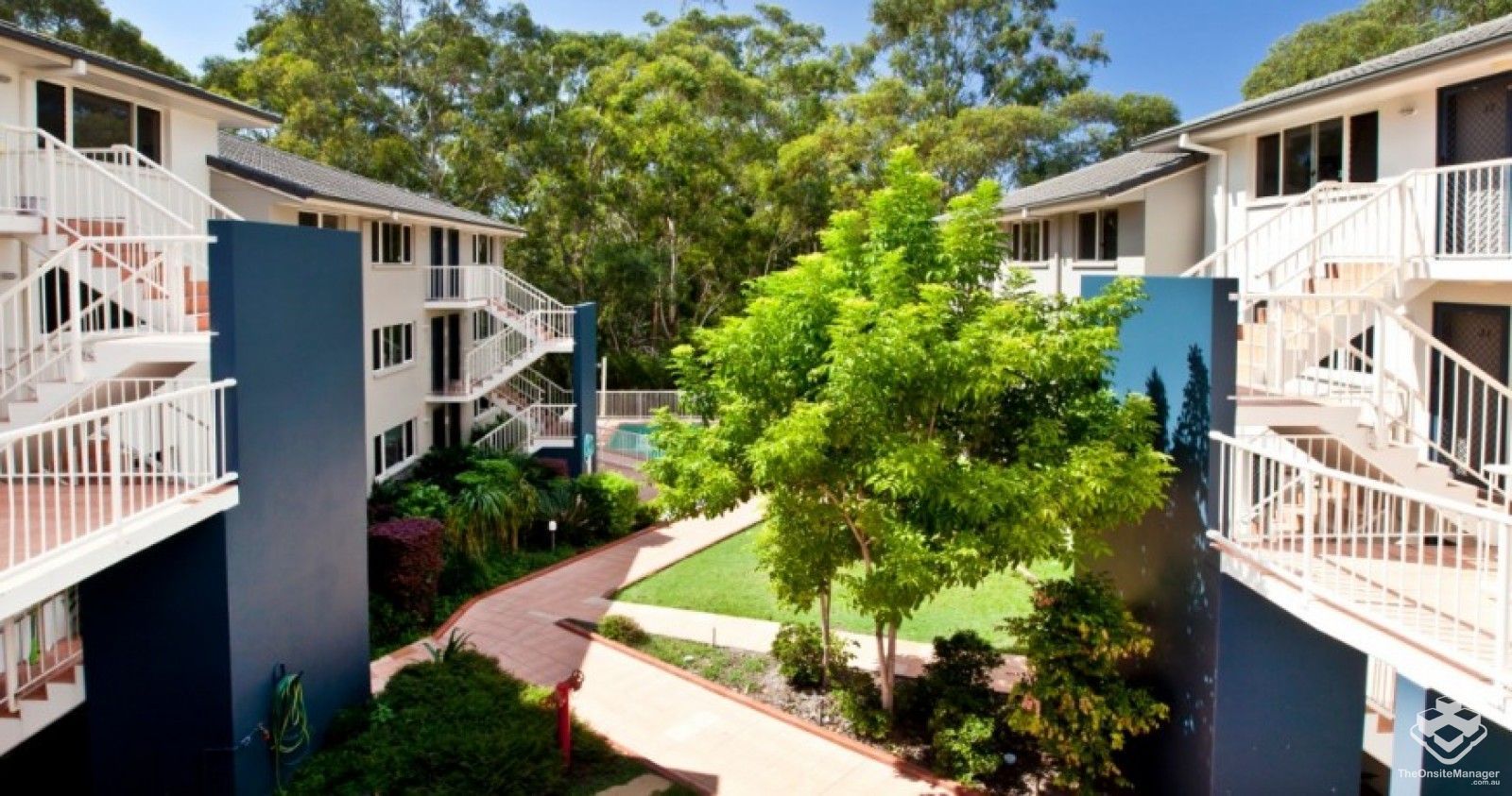 131/131 Currumburra Road, Ashmore QLD 4214 Apartment For Rent Domain