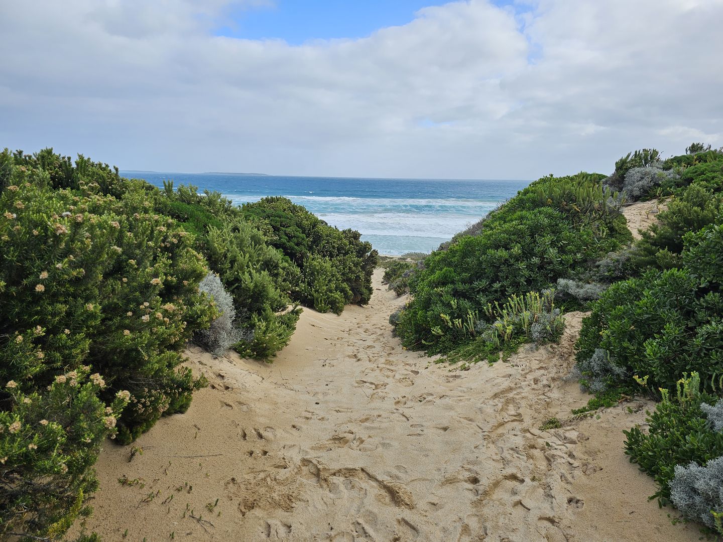 Lot 3 Phoques Bay Road, Egg Lagoon TAS 7256, Image 1