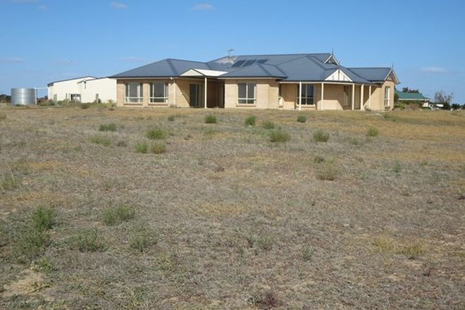 Picture of 53 Bluebush Crt, MURRAY BRIDGE SOUTH SA 5253