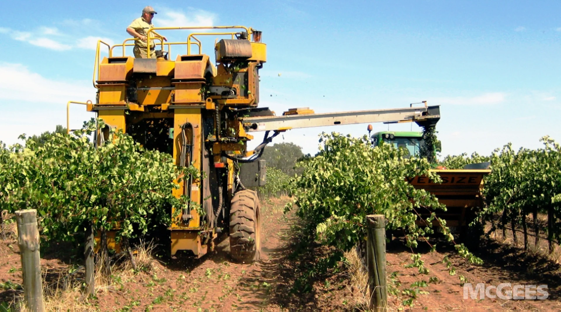 Additional image 9 of 1234 Barossa Valley Way, Lyndoch SA 5351