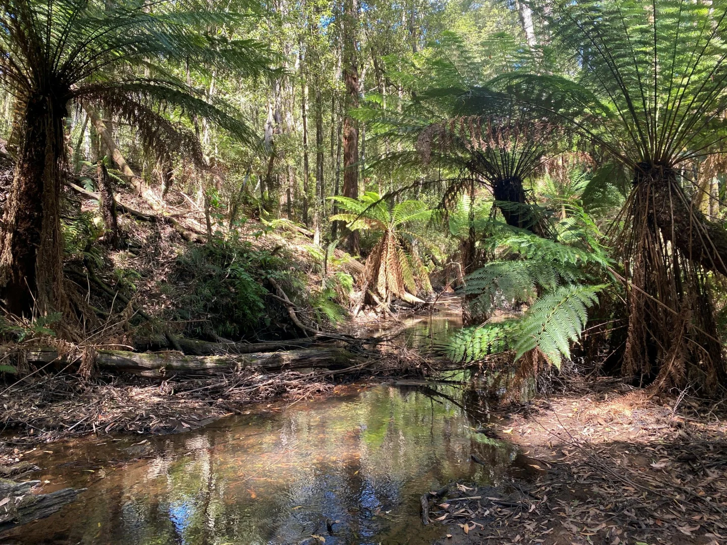 Additional image 6 of 42 Bilsons Road, Irishtown TAS 7330
