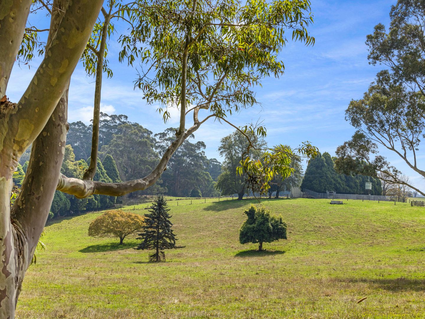 2775 Drouin-Korumburra Road, Poowong East VIC 3988, Image 2