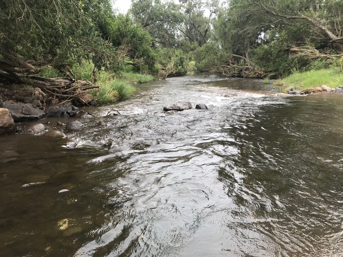 Running Creek, Running Creek QLD 4287 House for Sale Domain