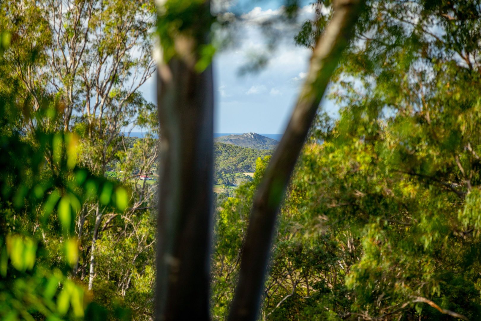 25 Caree Court, Maroochy River QLD 4561, Image 2