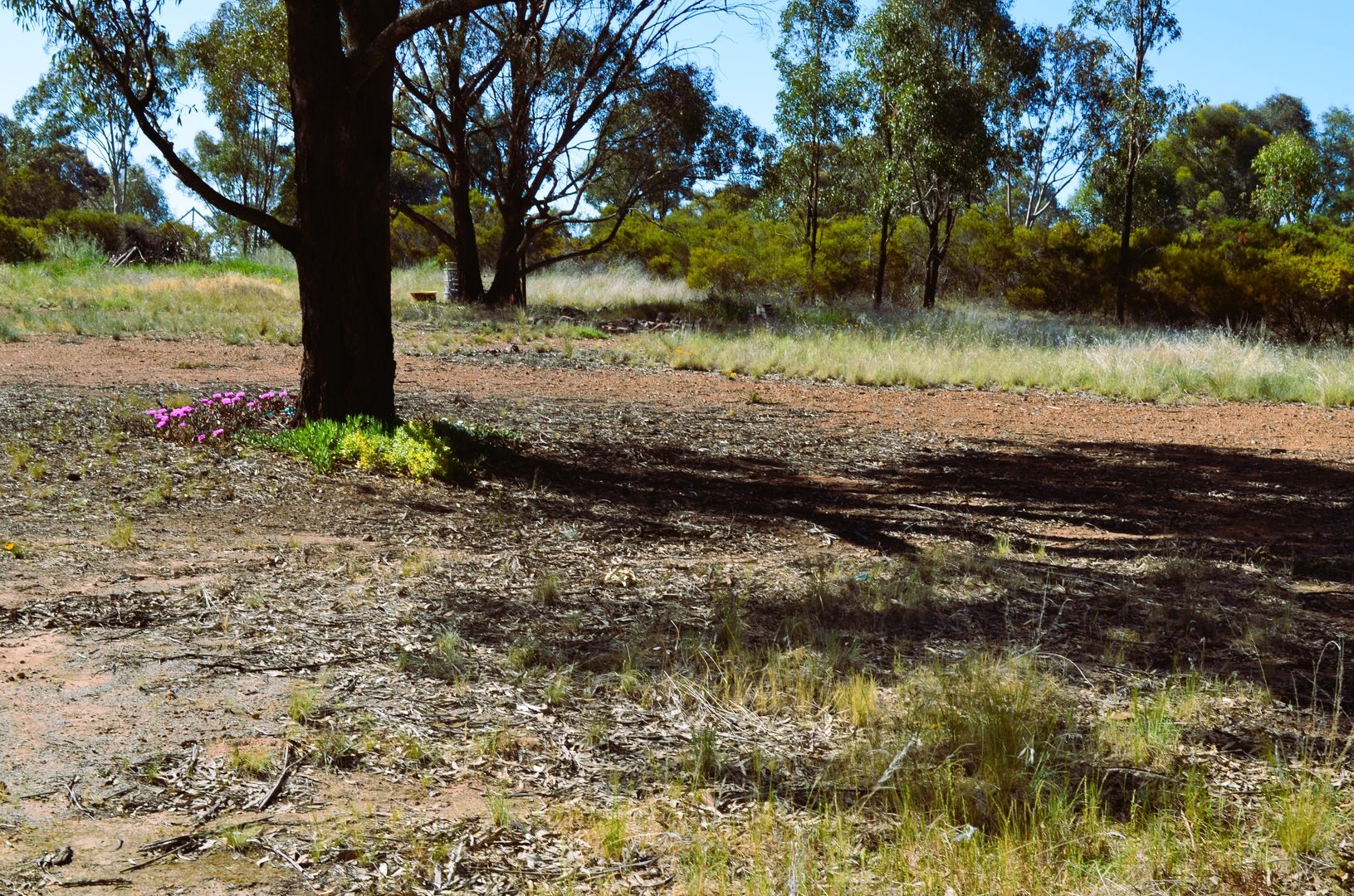 44-46 Devlin Street, Coolamon NSW 2701, Image 1