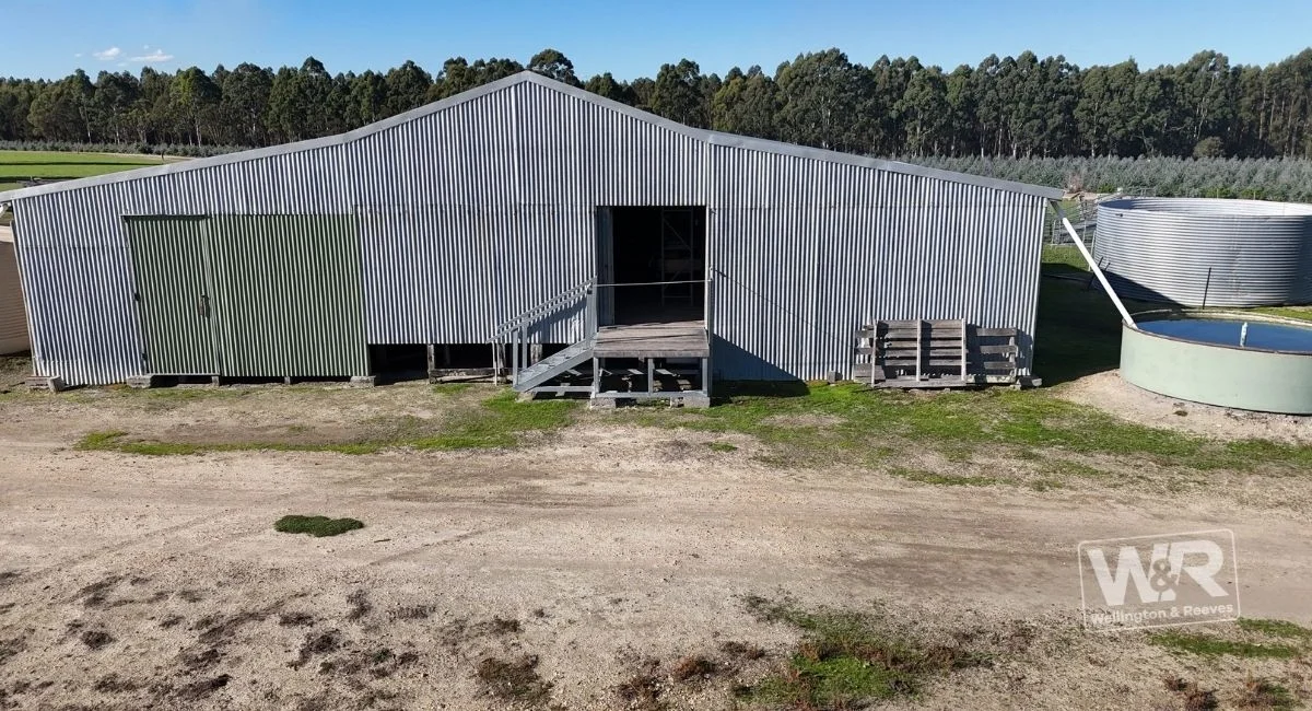 Image 10