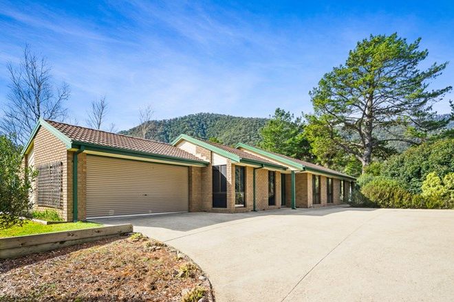 Picture of 141 Great Alpine Road, HARRIETVILLE VIC 3741