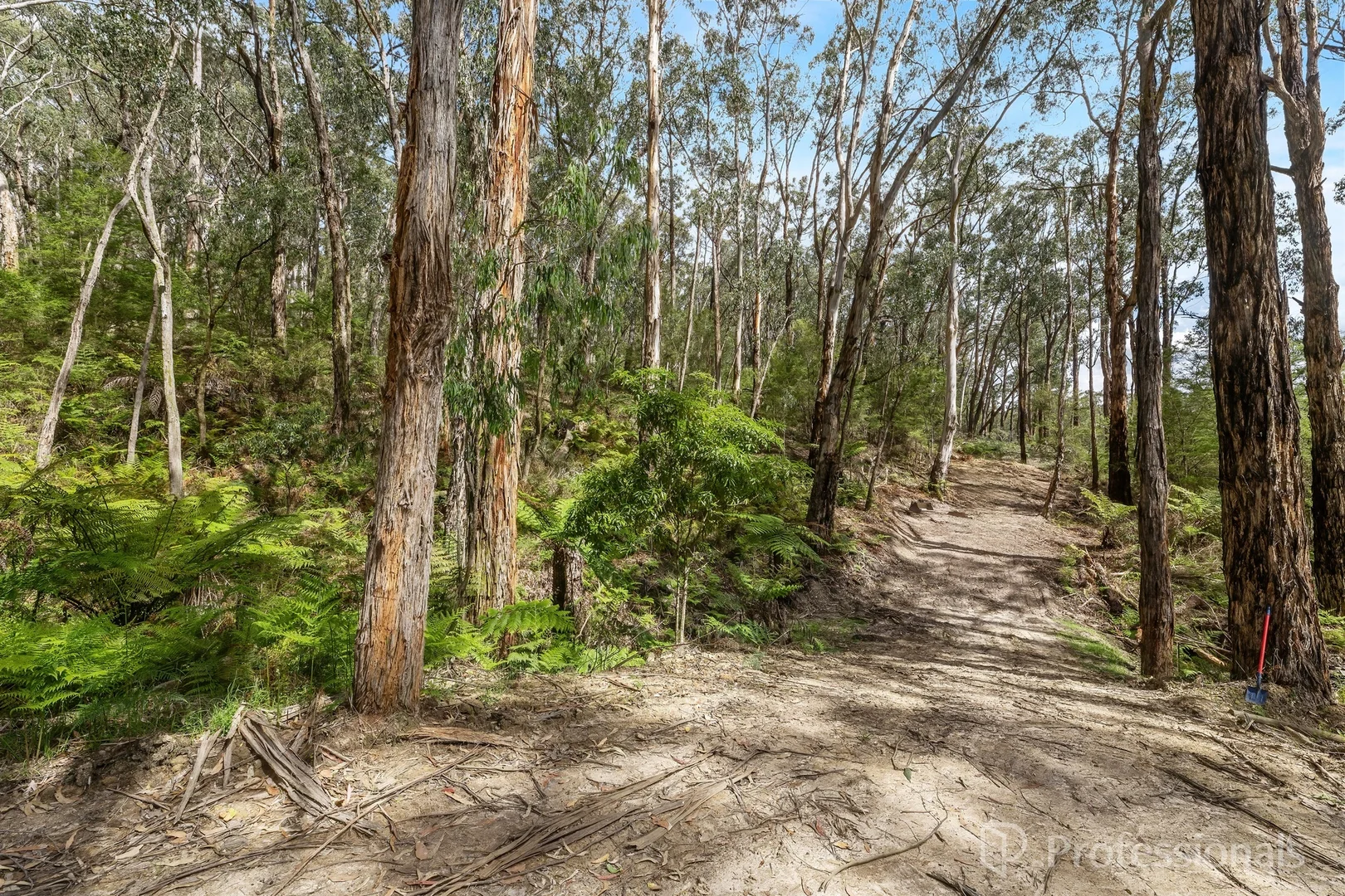 Additional image 5 of 221 Milners Road, Yarra Junction VIC 3797