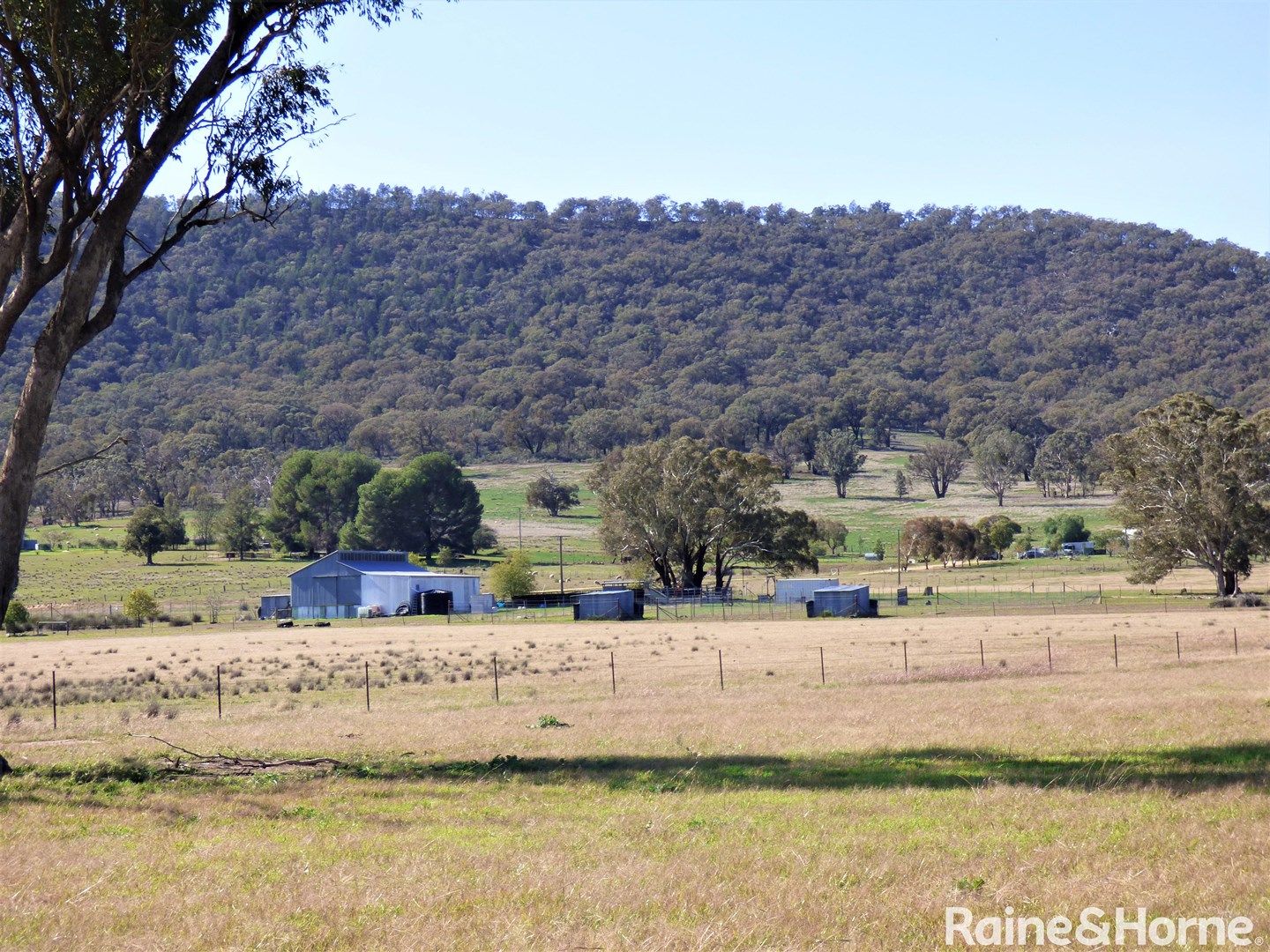 125 Grounds Road, Murringo NSW 2586, Image 2