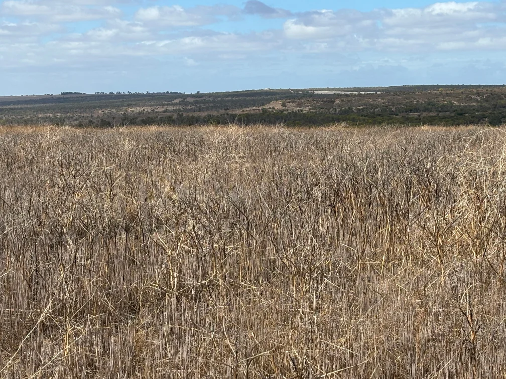 Additional image 7 of Lot 9678 Geraldton Mount Magnet Road, Wicherina WA 6532