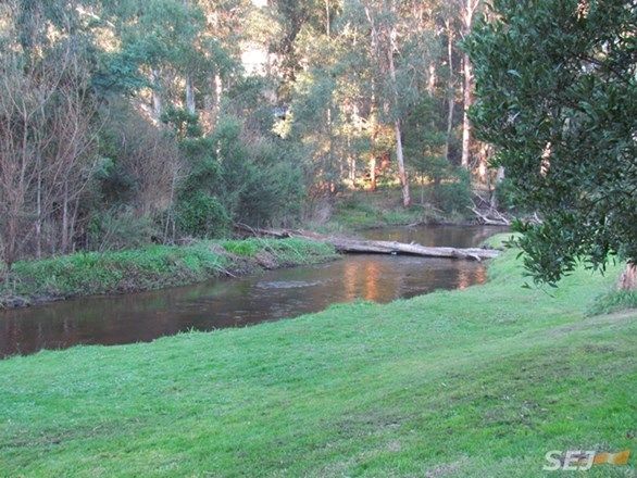 10 Bennett Street, Noojee VIC 3833, Image 2