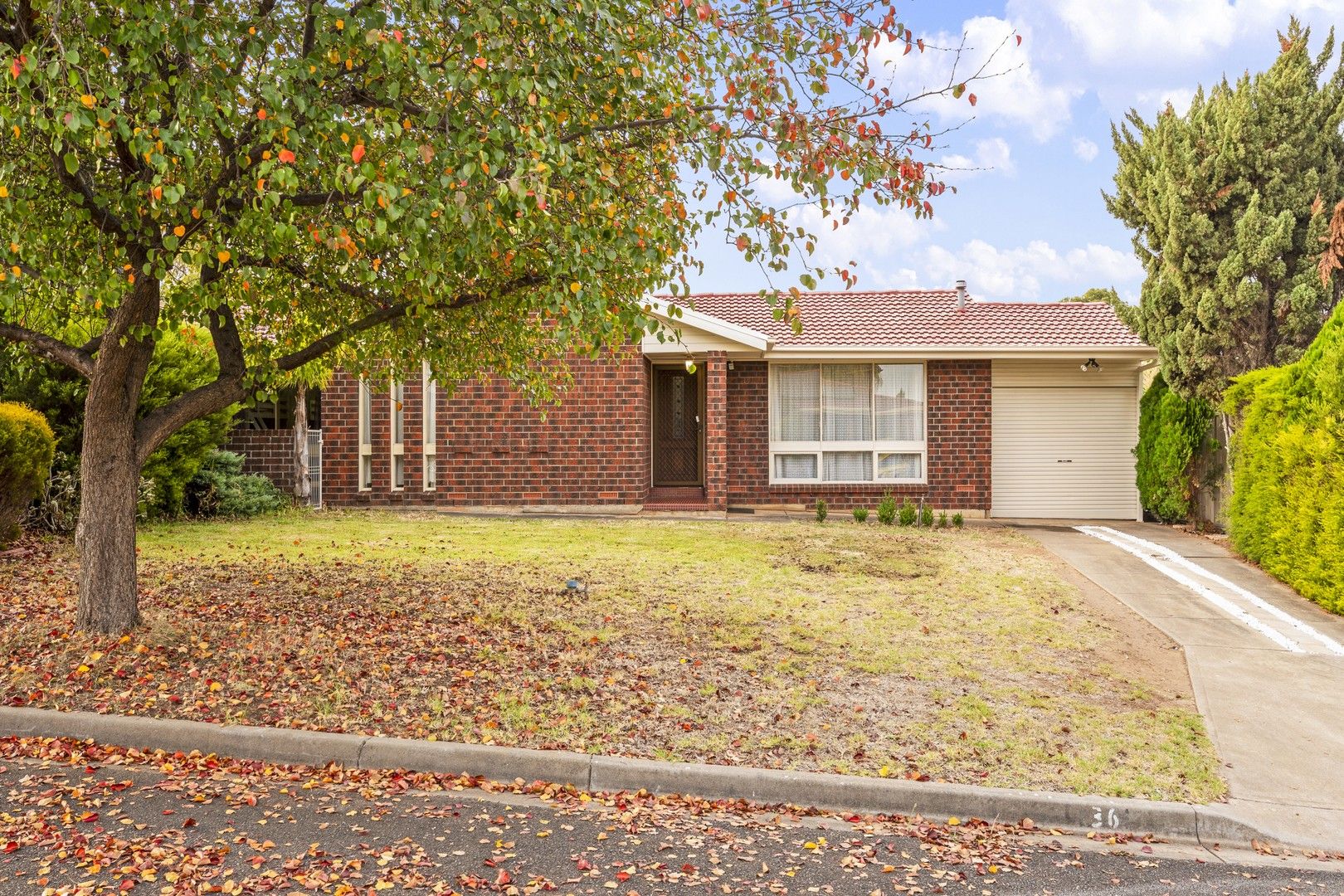 36 Dillon Street, Redwood Park SA 5097, Image 0