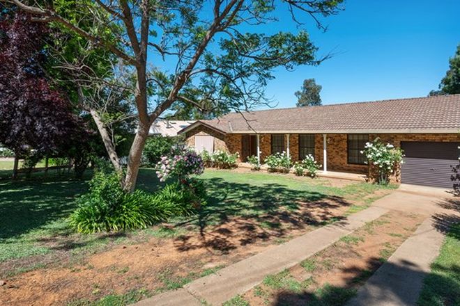 Picture of 52 Wynella Street, GULGONG NSW 2852