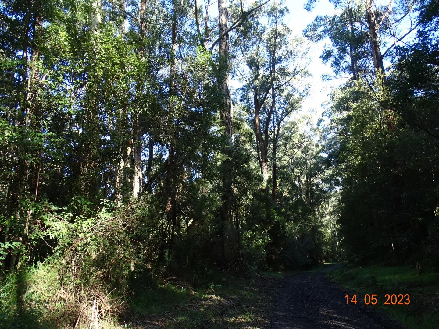 Image 6