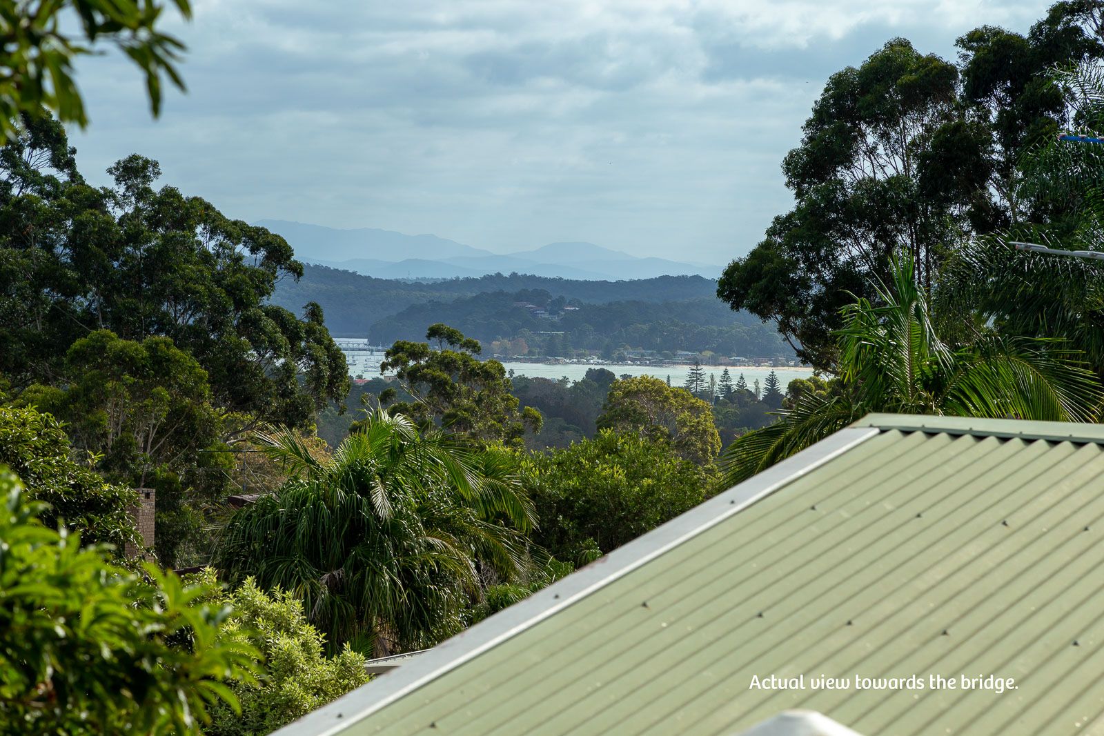 62 Ridge Street, Catalina NSW 2536, Image 1