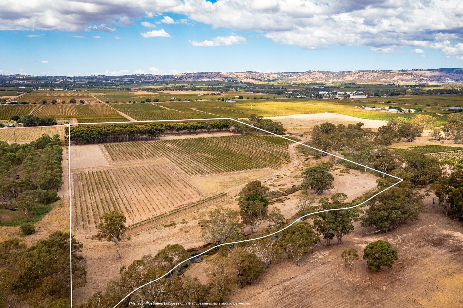 Lot 91 Nuraip Road, Nuriootpa SA 5355, Image 0