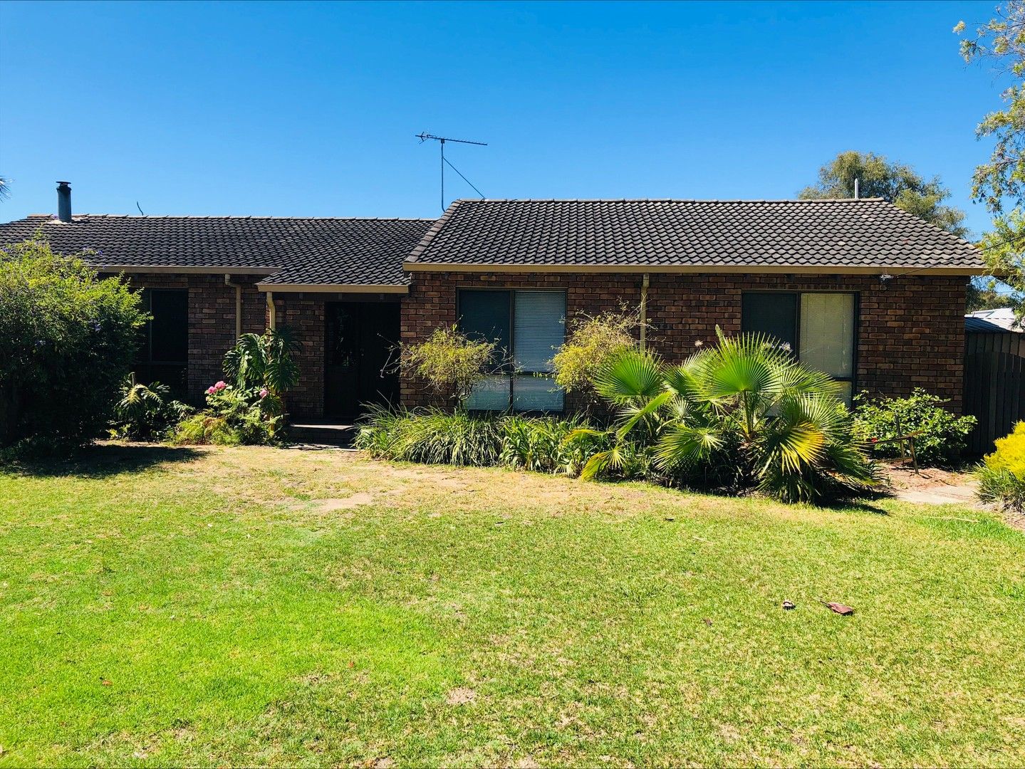 15 William Drive, Broadwater WA 6280 House For Rent 650 Domain