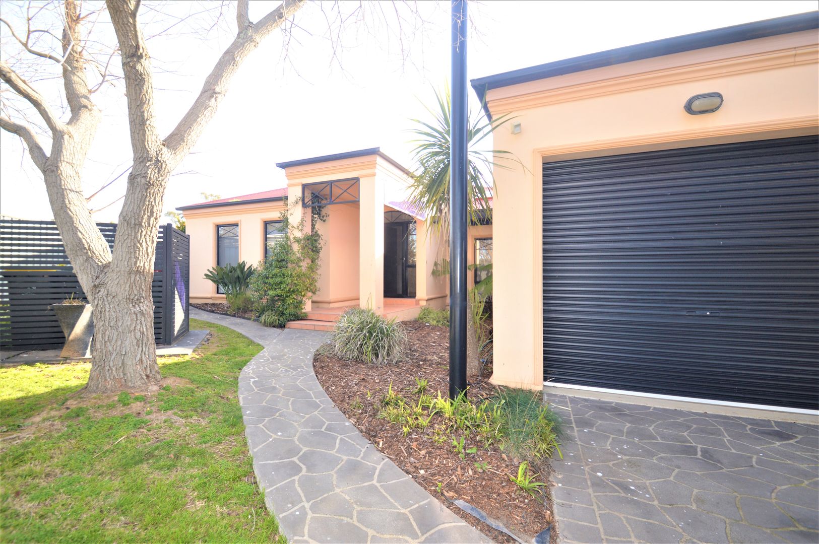 Pet Shop Bairnsdale Pet Store Near Me Pets Domain