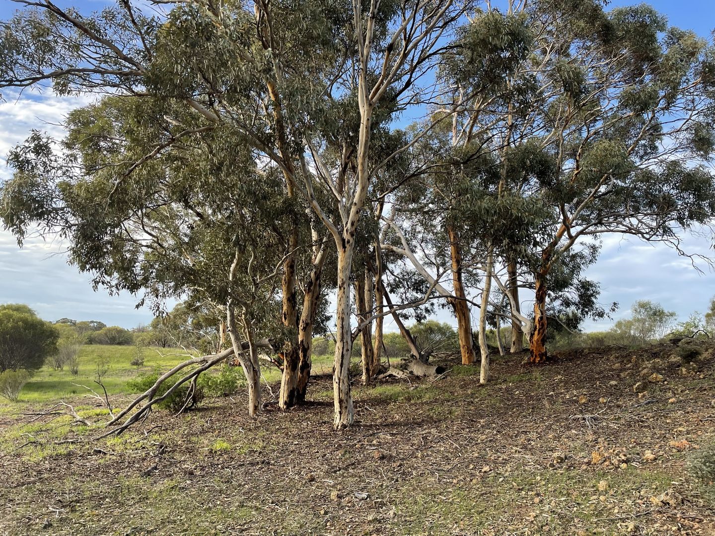 Lot 16721 Ewert Road, Morbinning WA 6304, Image 1