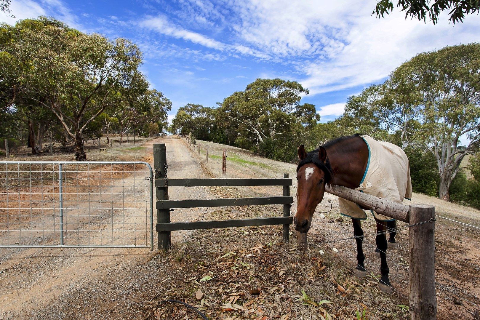 130 Kellys Road, Onkaparinga Hills SA 5163, Image 2