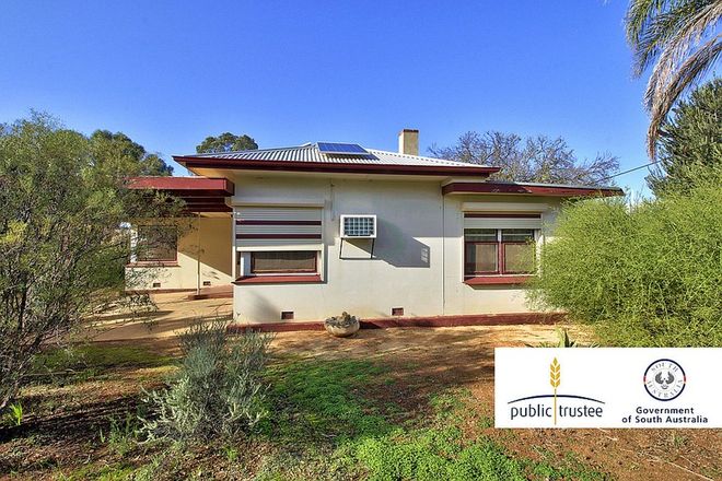 Picture of 5 Wodonga Avenue, LOXTON SA 5333