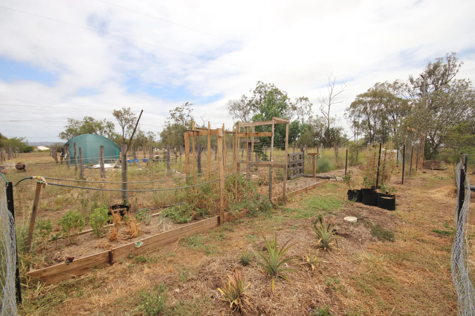 Image 15
