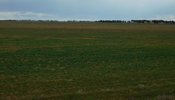 Picture of Section 300 Aerodrome Road, PORT PIRIE SA 5540