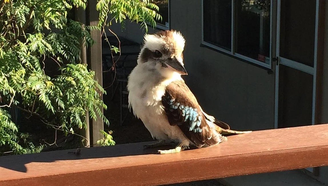 Additional image 12 of 85 Coondooroopa Drive, Macleay Island QLD 4184