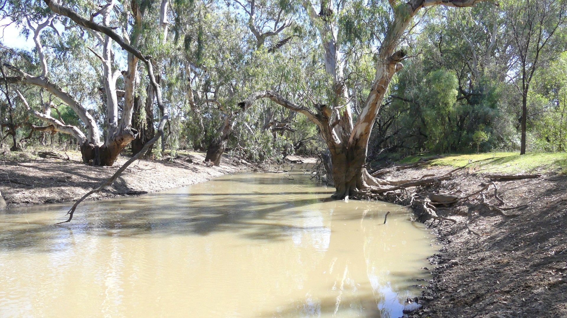 . Gradgery Lane, Warren NSW 2824, Image 0