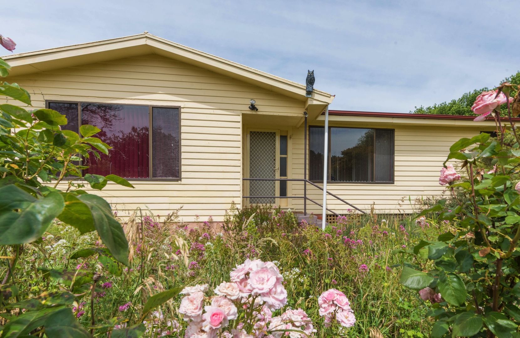 377 Evandale Road, Western Junction TAS 7212, Image 1