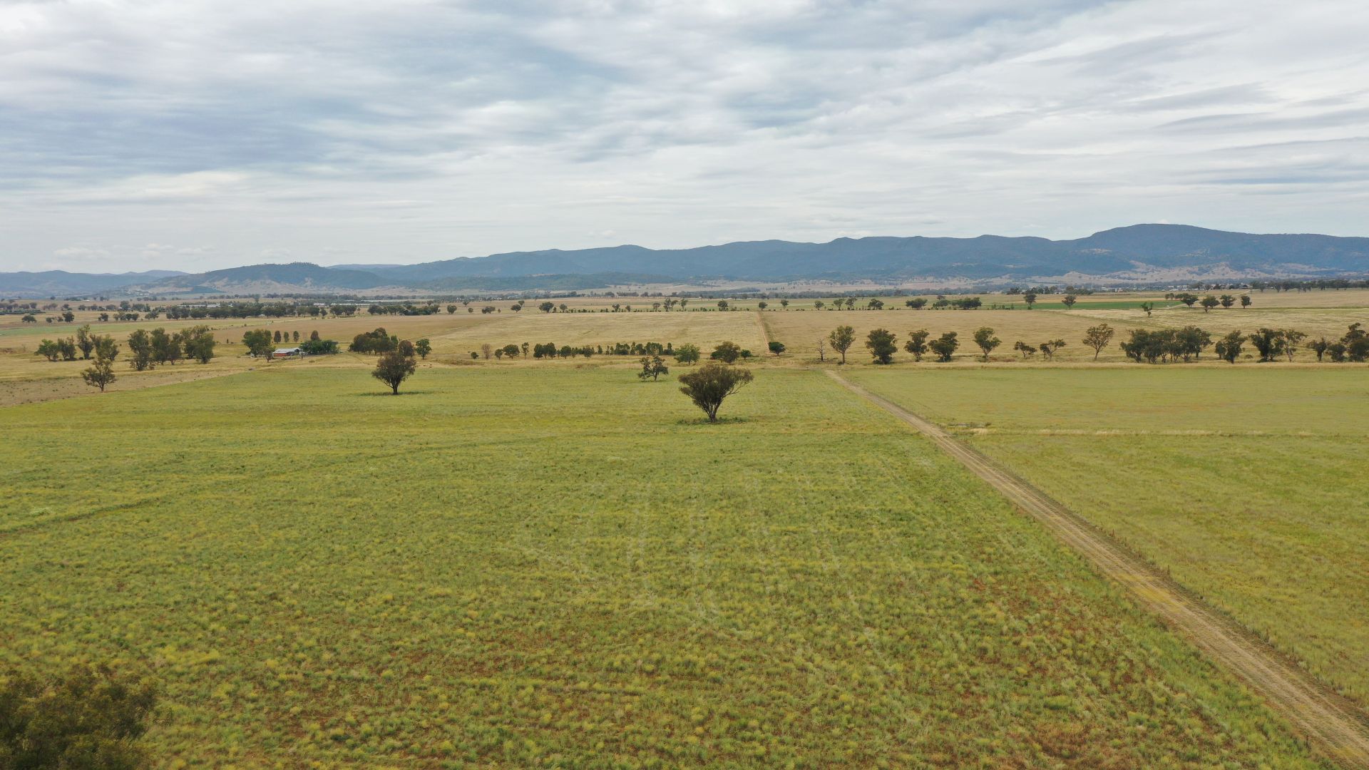 Hazeldene 205 GidleyAppleby Road, Tamworth NSW 2340 Farm for Sale