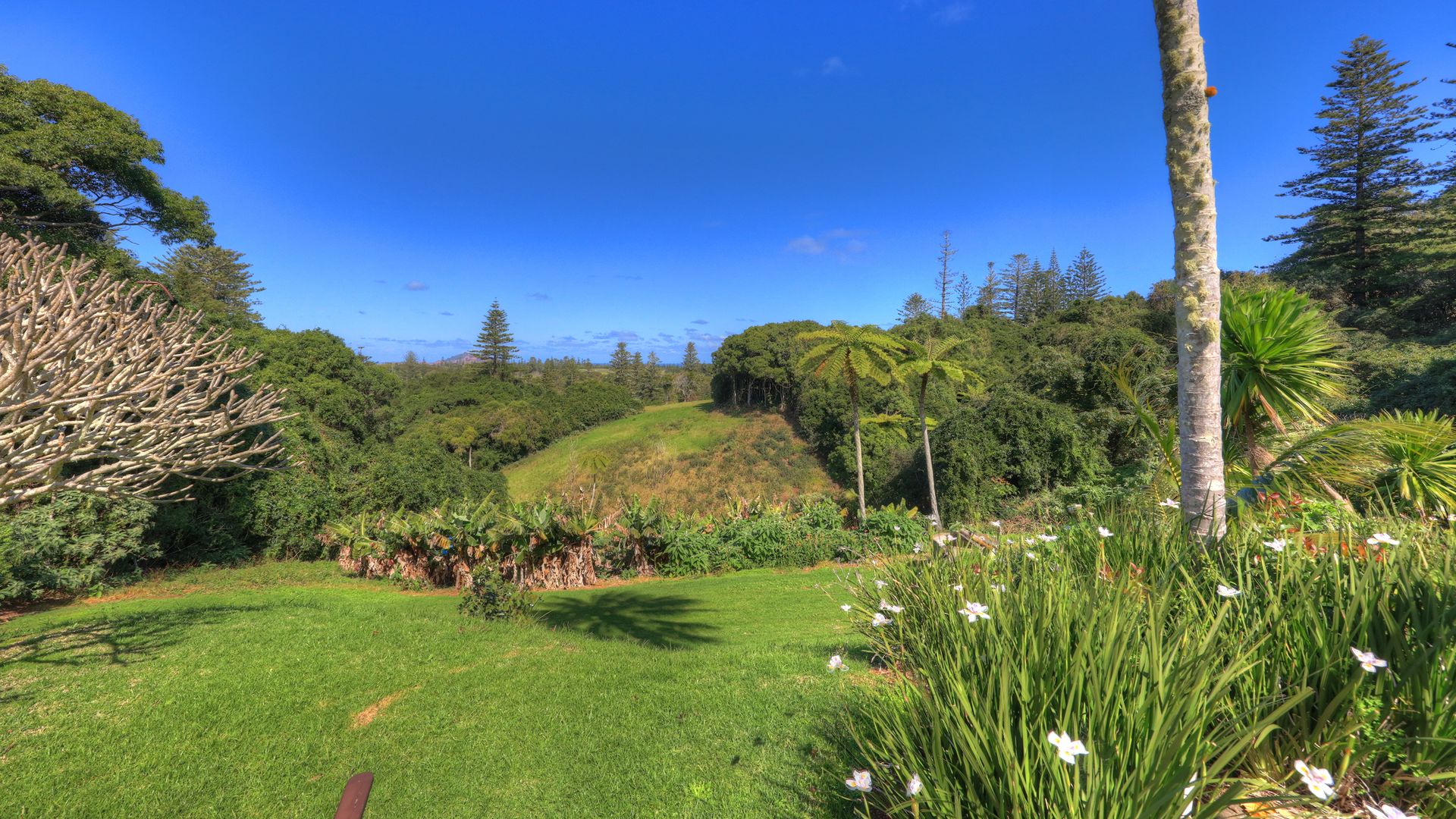 18 George Hunn Nobbs Road, Norfolk Island NSW 2899, Image 2