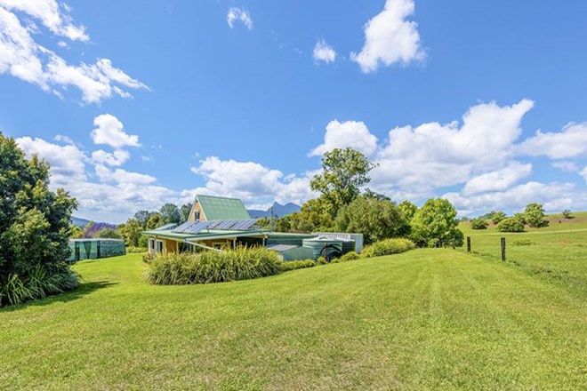 Picture of 231 Tyalgum Creek Road, TYALGUM CREEK NSW 2484