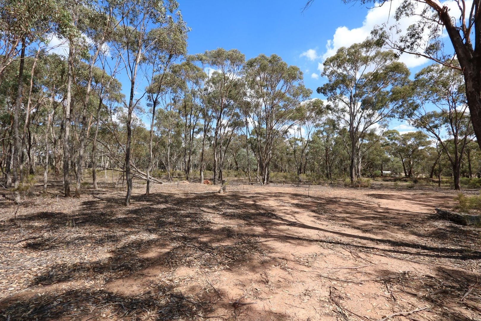 Lot 2, 207 Pekin Road, Bowenvale VIC 3465, Image 1